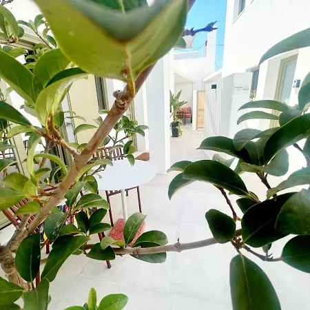 Paros B With Private Jacuzzi *