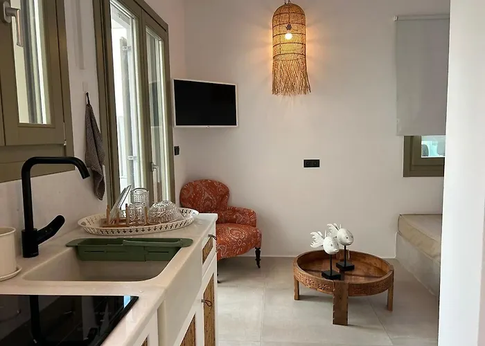 度假居 Paros B With Private Jacuzzi 纳乌萨